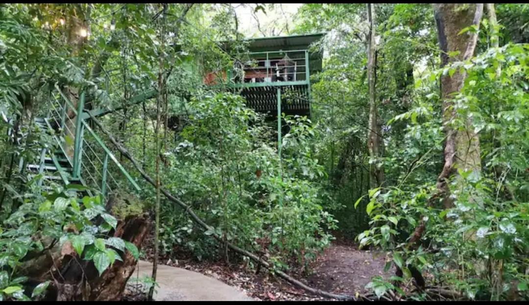 Jungle Living Tree Houses Monteverde Dış mekan fotoğraf