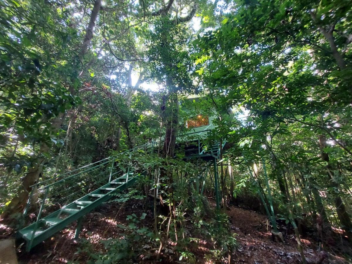 Jungle Living Tree Houses Monteverde Dış mekan fotoğraf