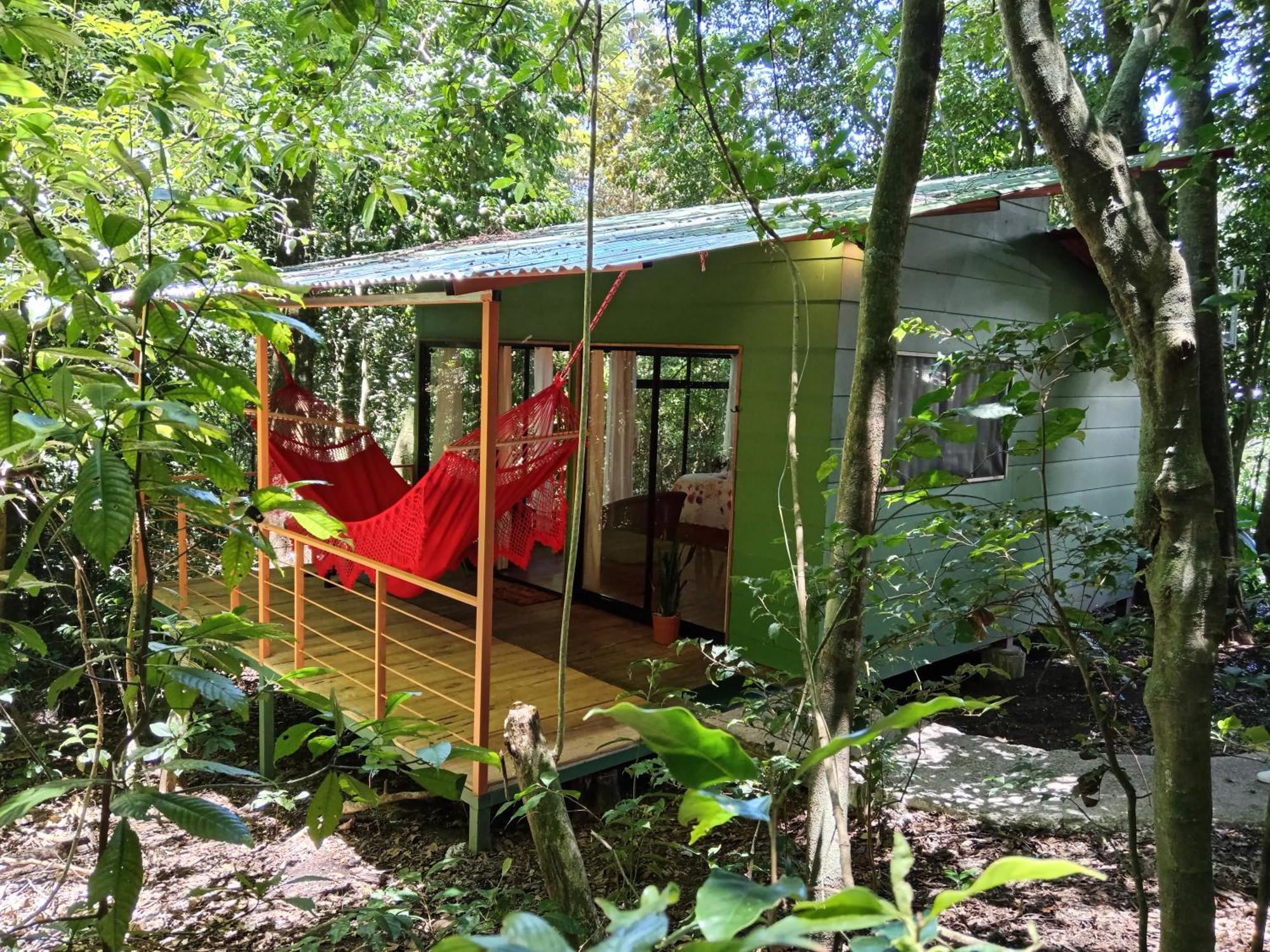 Jungle Living Tree Houses Monteverde Dış mekan fotoğraf