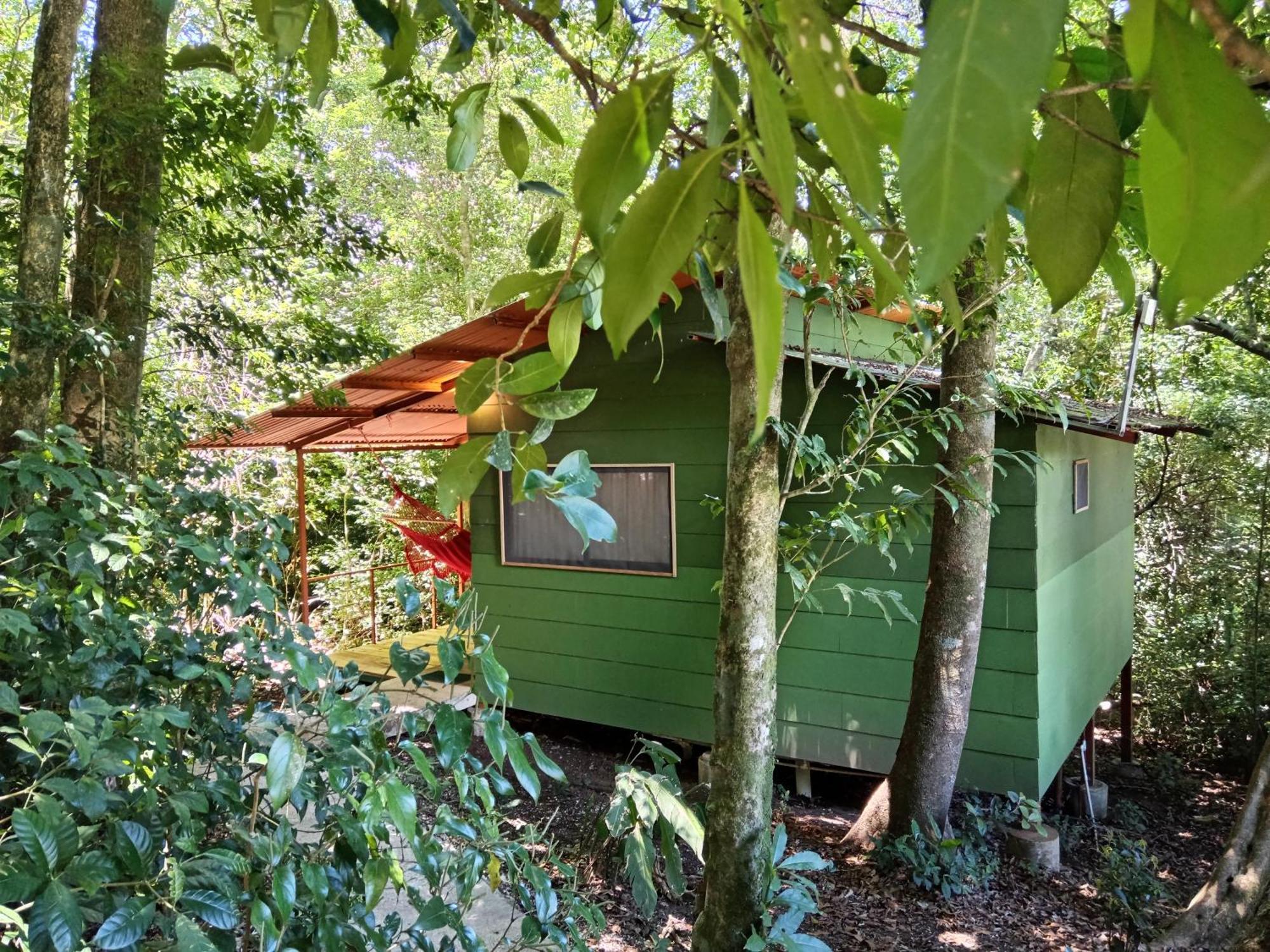 Jungle Living Tree Houses Monteverde Dış mekan fotoğraf