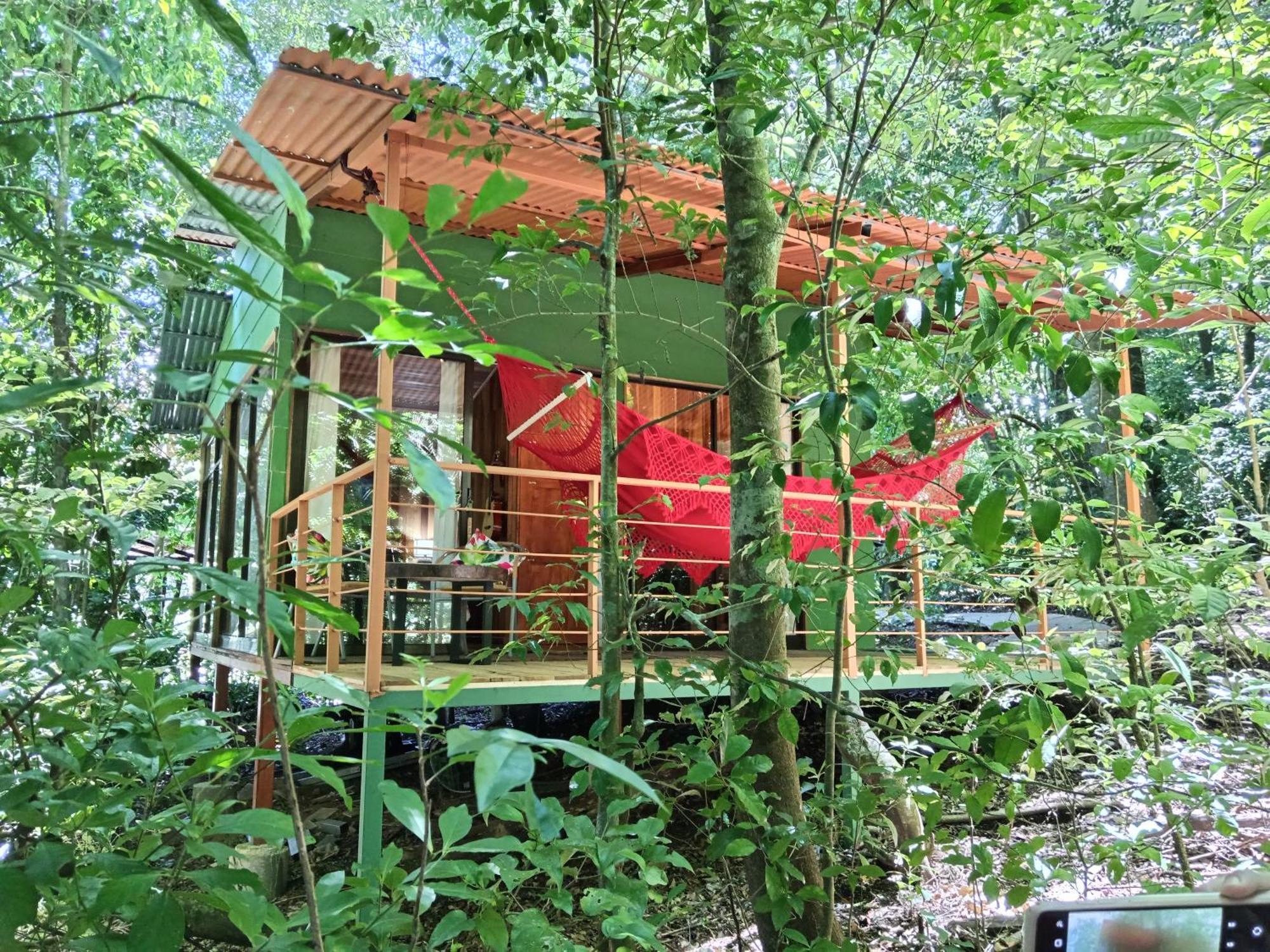 Jungle Living Tree Houses Monteverde Dış mekan fotoğraf