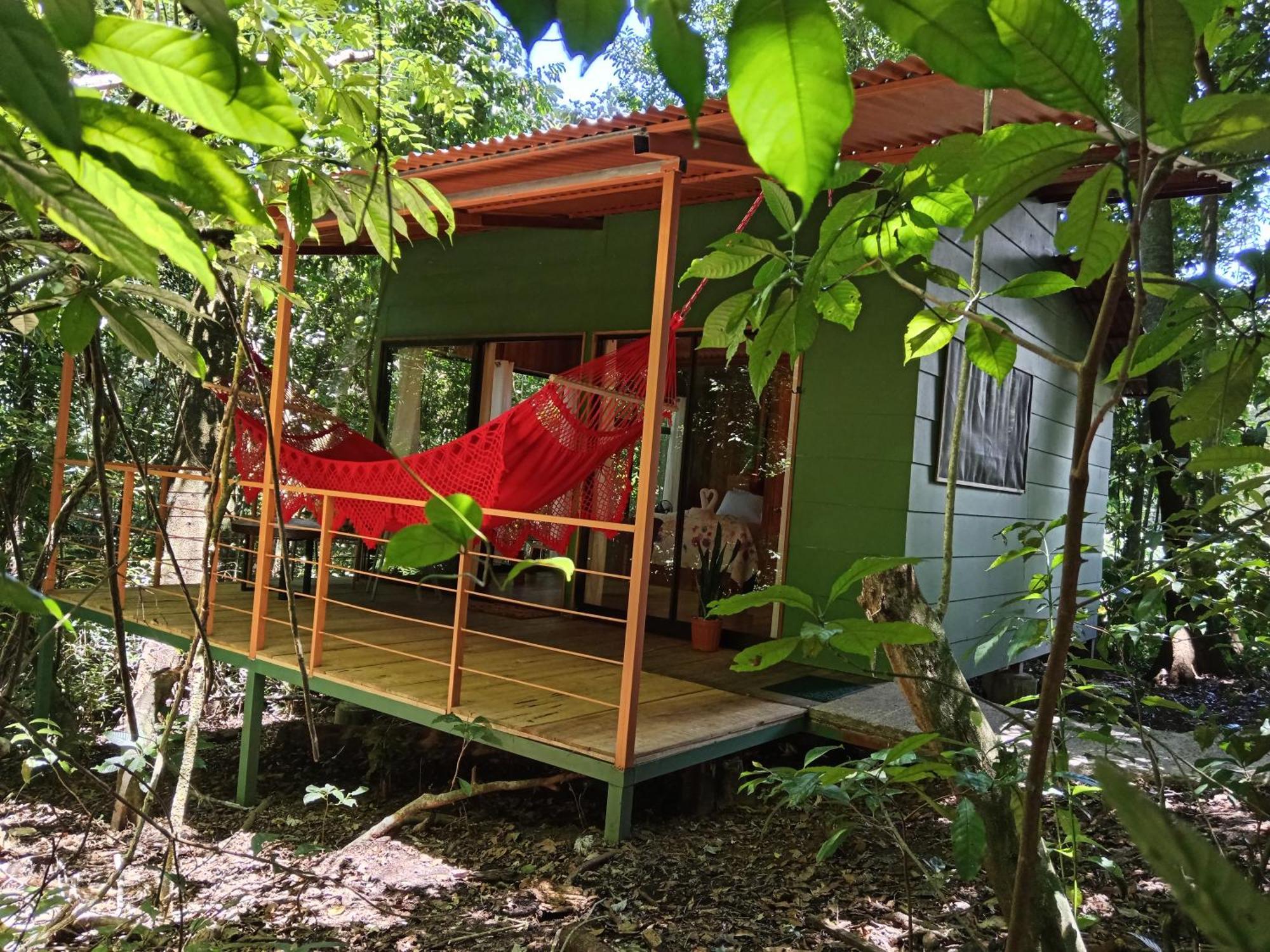 Jungle Living Tree Houses Monteverde Dış mekan fotoğraf