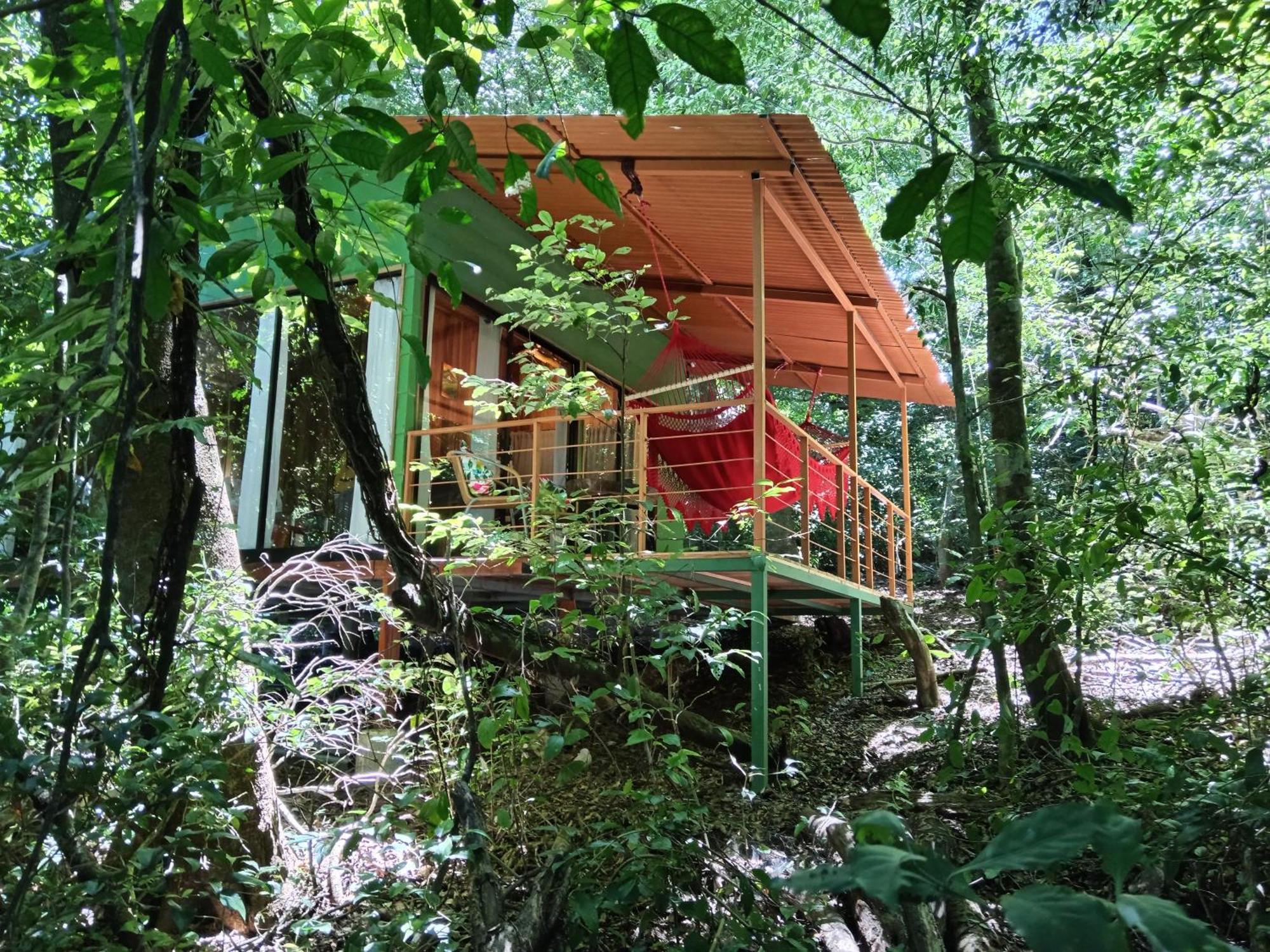 Jungle Living Tree Houses Monteverde Dış mekan fotoğraf