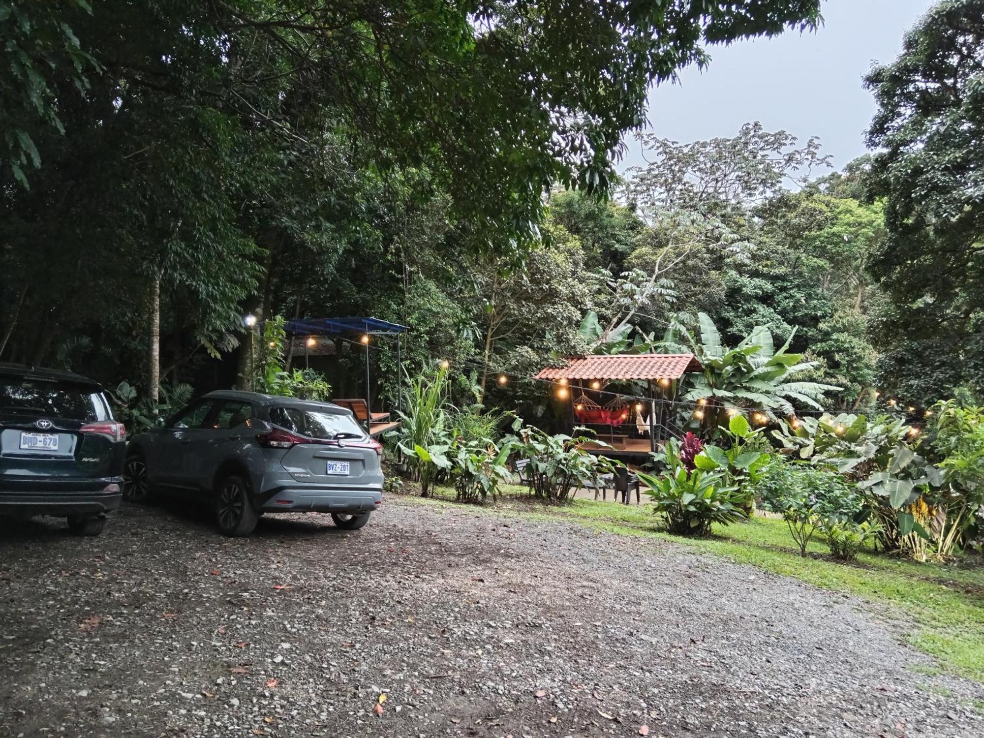 Jungle Living Tree Houses Monteverde Dış mekan fotoğraf