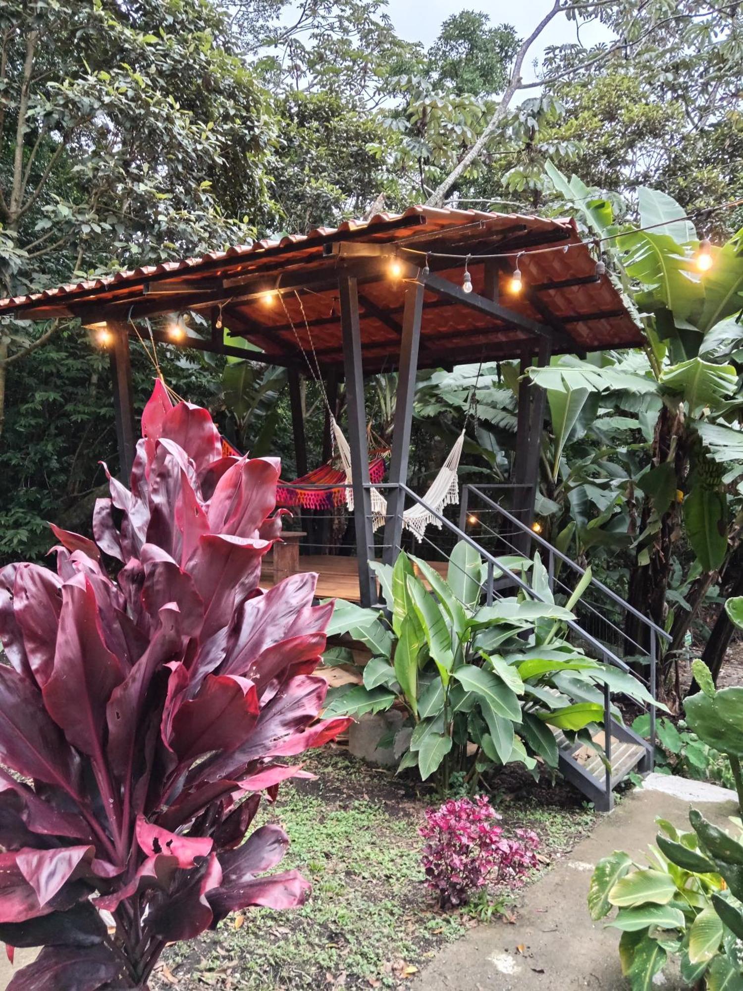 Jungle Living Tree Houses Monteverde Dış mekan fotoğraf