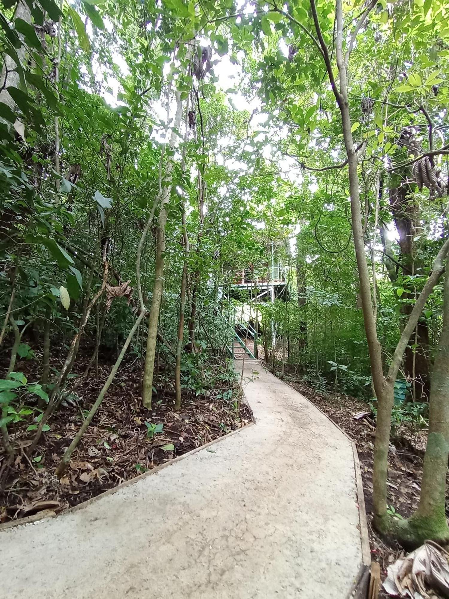 Jungle Living Tree Houses Monteverde Dış mekan fotoğraf