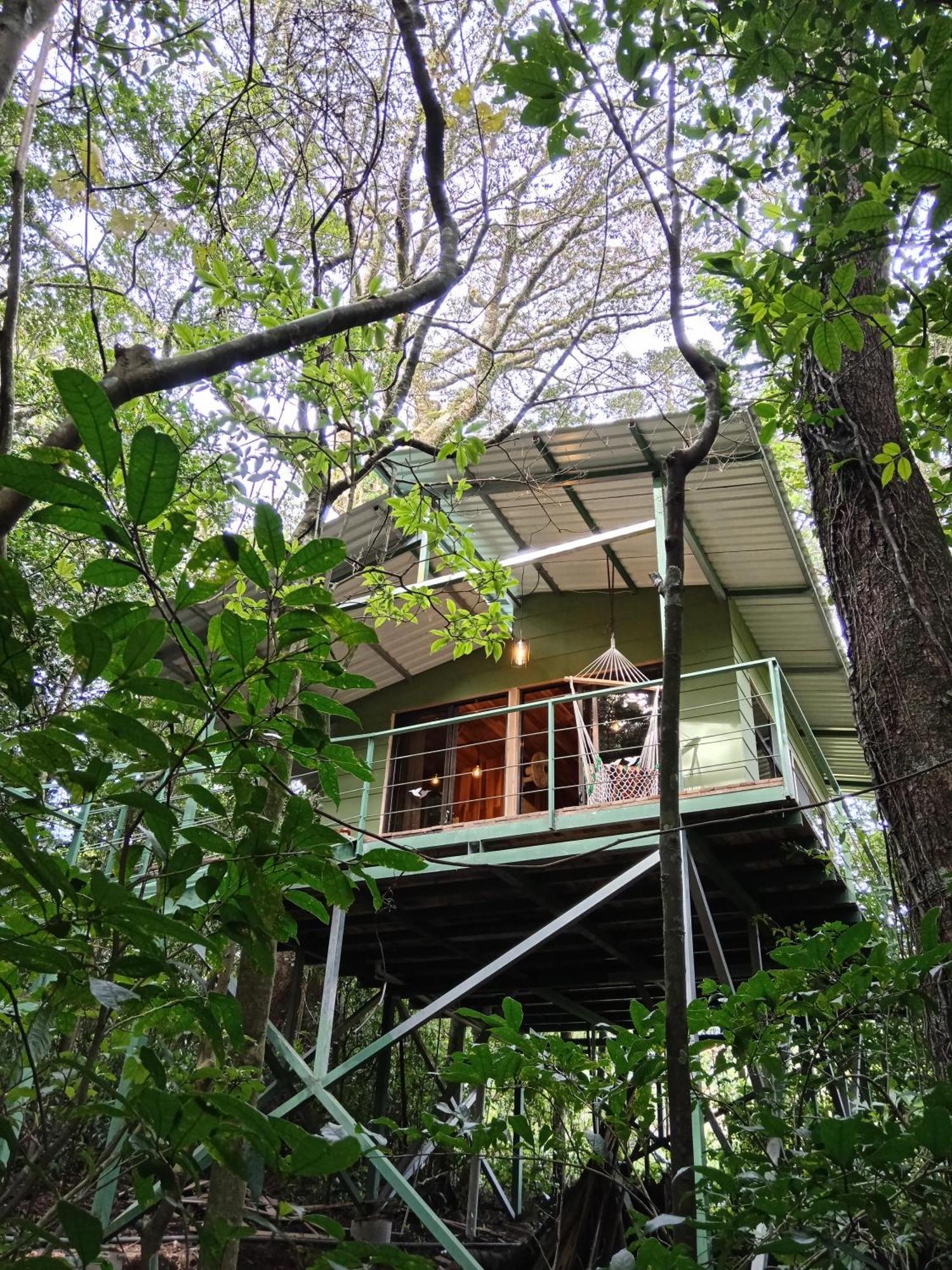 Jungle Living Tree Houses Monteverde Dış mekan fotoğraf
