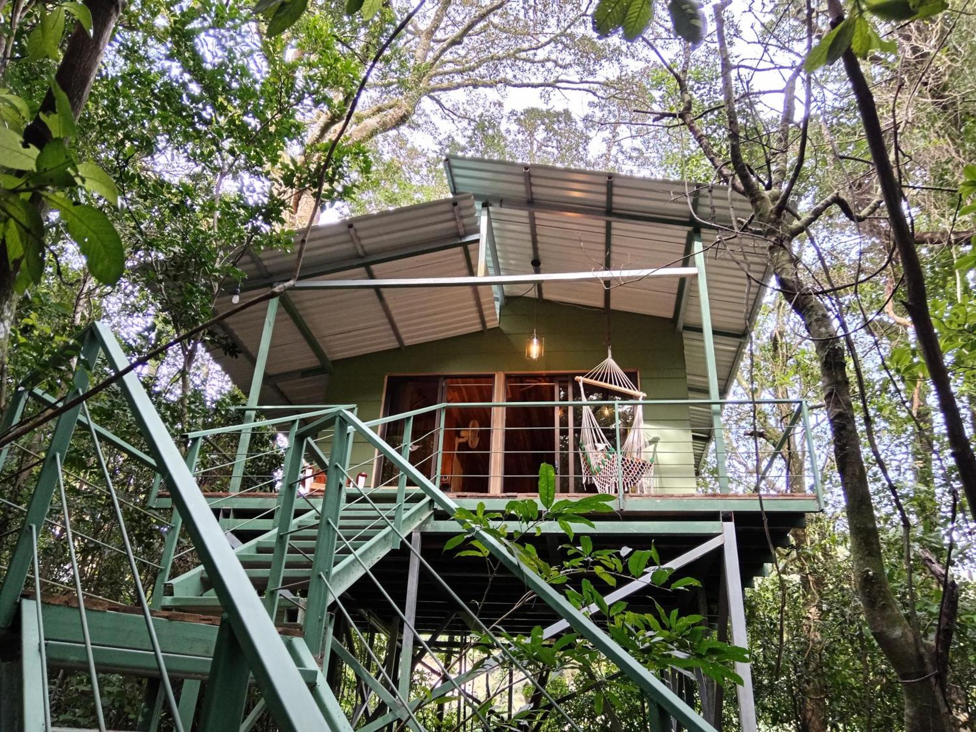 Jungle Living Tree Houses Monteverde Dış mekan fotoğraf