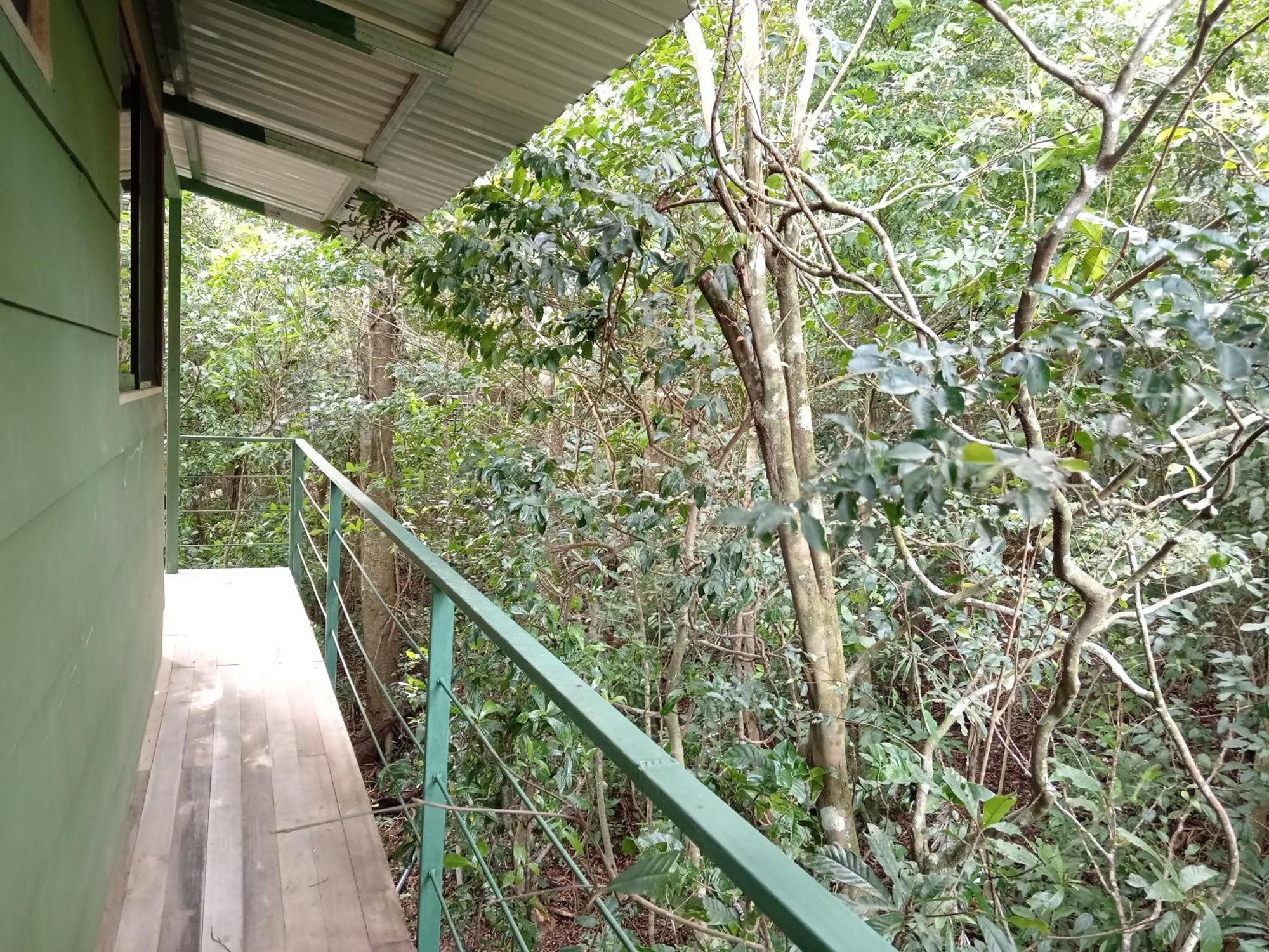 Jungle Living Tree Houses Monteverde Dış mekan fotoğraf
